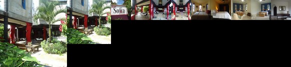 Casa Sofia Inn