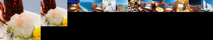Shirako New Seaside Hotel