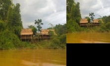 Eco Floor Bird Song Lodge