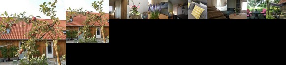 Bij en Boom Bed & Breakfast