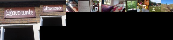 Lavorante
