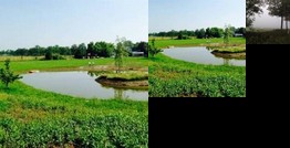 Bed and Breakfast Radijsje