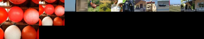 Vakantie boerderij de Kooiplaats