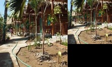 Green Garden Homestay Can Tho