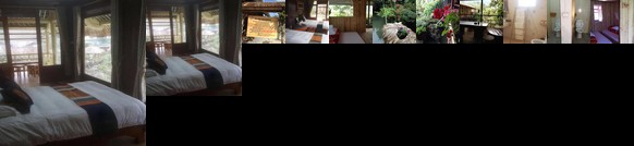 Ta Phin Stone Garden Ecological