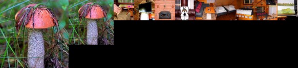 Lakeside Cottage Taipalsaari