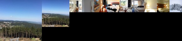 Harz Dream / Harz on Top