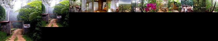 Wagelia Espino Blanco Lodge