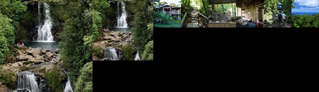 Rara Avis Rainforest Lodge