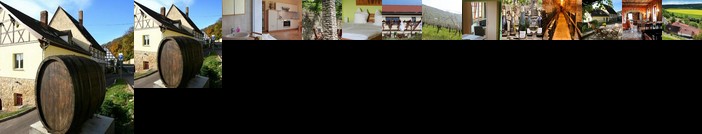 Ferienwohnung Weingut Kloster Pforta