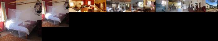 Bushwhacked Barberton