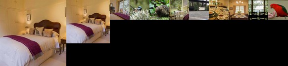 Billy Buttons Bed and Breakfast