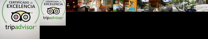 Hosteria Saguamby Mindo