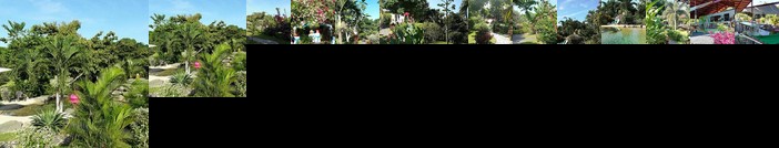 Cabanas Los Colibris