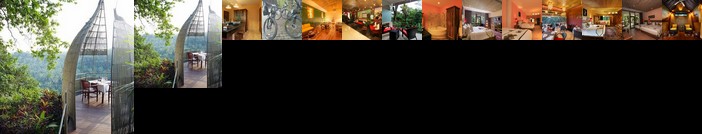 Jungle Retreat by Kupu Kupu Barong