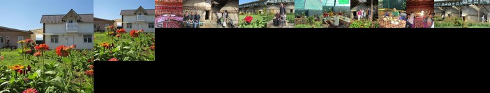 Happy Nomads Yurt Camp & Hostel