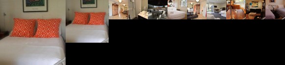 Tongariro Adventures