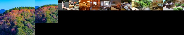 Miyoshino Sakuraan -Yoshino-