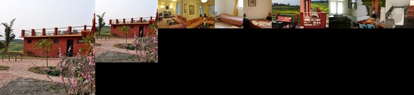 The Little House in the Rice Fields