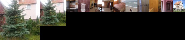 Zagorodny dom Filino