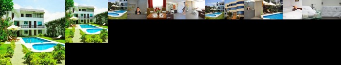 Las Palmeras de Asia