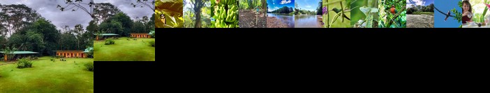 Gavilan Rio Sarapiqui Lodge