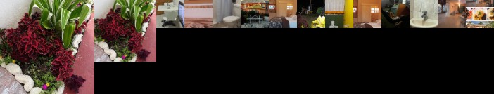 Haven House Apartments