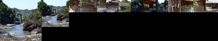 Foret Austral Ranomafana- Fianarantsoa