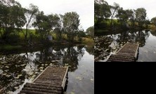 Misty Mountain Retreat