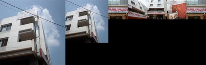 Hotel Mauli Palace
