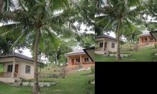 Floras Dive and Resort