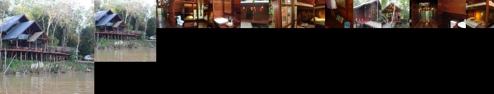 Borneo Natural Sukau Bilit Resort