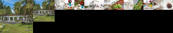 Eco Bed and Breakfast