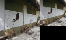 Sweet Dreams Samloem