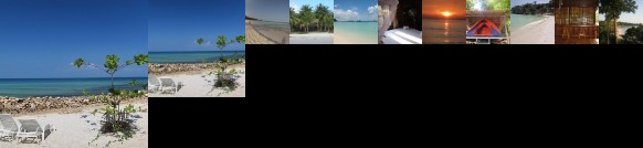 Coconutbeach Bungalows