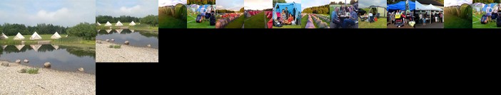 Edinburgh Festival Camping