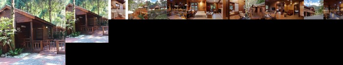 Taichung Business Hotel - Immortals Hills