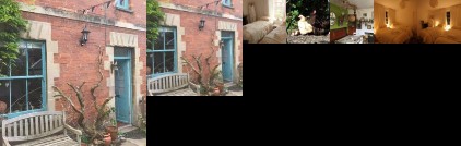 Moon in the Apple Tree