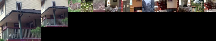 Wisteria Honeymoon Cottage