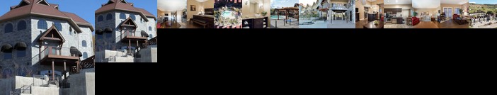 The Castle at Swan Lake