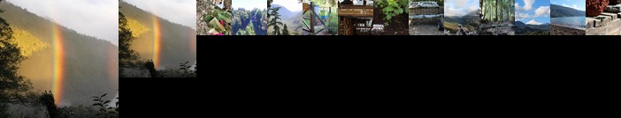 Cabana Rustica Patagonia Chilena