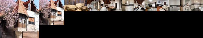 Tulipan Vendeghaz Miskolc