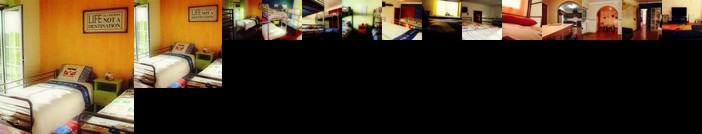 Next Level Surf Camp