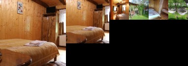 Casa Bunicii Costesti