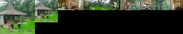Tepi Sawah Lodge
