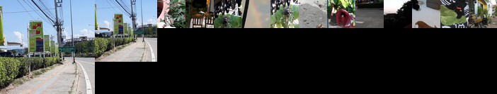 Home Baan Chiang Mai