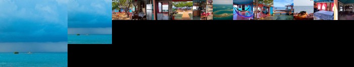 Bird Island Placencia