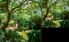 Sofia's Home with Garden