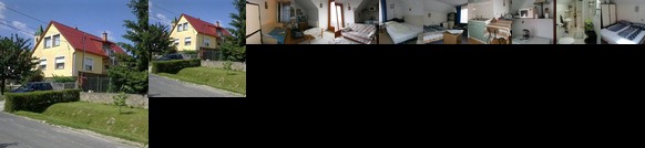 Gyorgy Vendeghaz Ajka