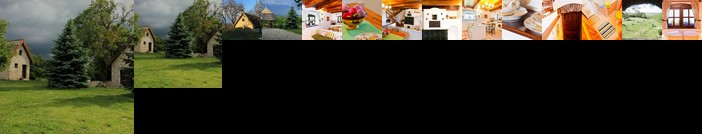 Dioliget - Diofacska Preshaz